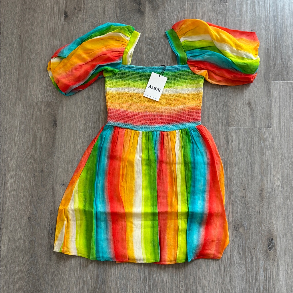 *Nwt* Amur Multicolor Rainbow Dress